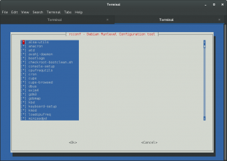 Autorun Debian