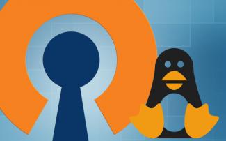 Настройка «двойного» (double) OpenVPN