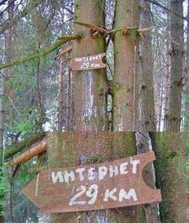 Как узнать, свой внешний IP-адрес с командной строки Как узнать, свой внешний IP-адрес с командной строки